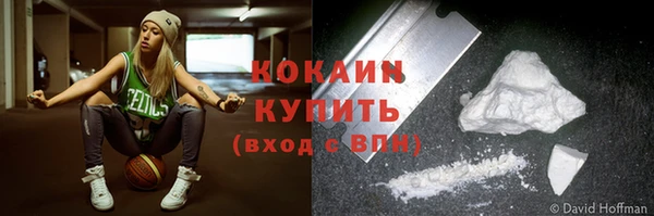 шишки Абинск