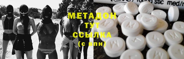 прущие грибы Абаза