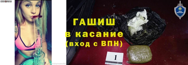 прущие грибы Абаза