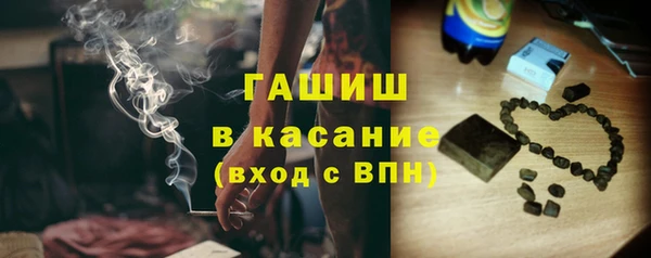 прущие грибы Абаза