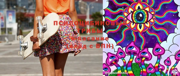 прущие грибы Абаза
