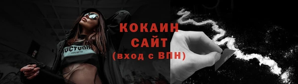 прущие грибы Абаза