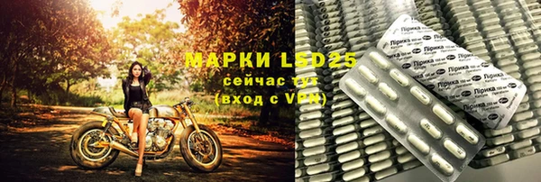 прущие грибы Абаза