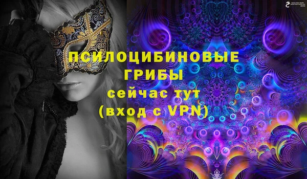 шишки Абинск