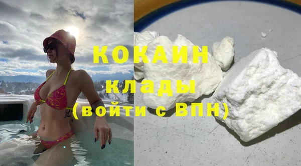 прущие грибы Абаза