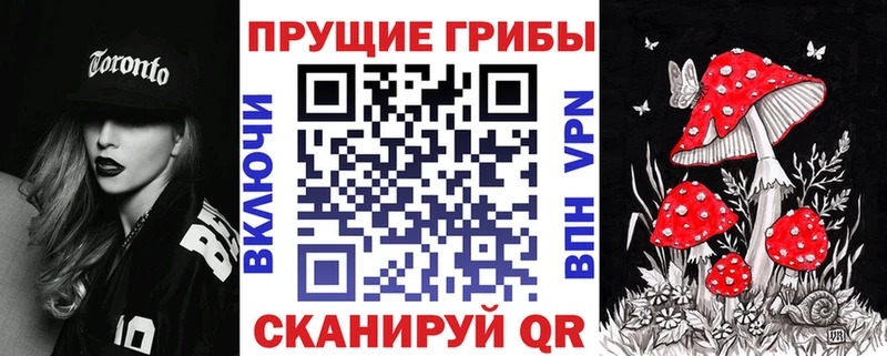 цены   Чебаркуль  Галлюциногенные грибы Psilocybe 